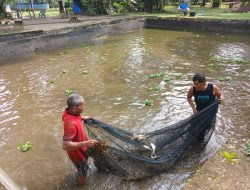 WBP Sukses Terampil Bidang Perikanan, Lapas Bangkinang Panen 1 Ton Ikan Patin SAE