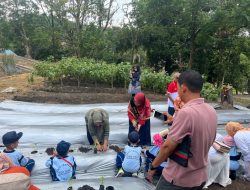 Bunda PAUD Kampar Kunjungi Kebun Cabe Agrowisata Stanum Bersama Anak TK Pertiwi