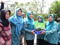 PJ Ketua TP PKK Kampar Tinjau Program Gertam Cabe di Stanum