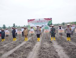 PJ Bupati Hambali Hadiri Kick Off Ketahanan Pangan