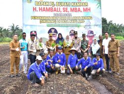 Program Nawacita Presiden Prabowo, Pj Bupati Hambali Lakukan Penanaman Bibit Padi