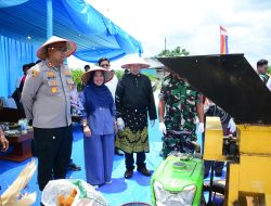 Panen Raya Jagung Pipil Kuartal I, Pemda Kampar: Bentuk Komitmen dan Kerjasama Kita Bersama