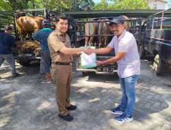 Luar Biasa, Pemkab Kampar Salurkan 57 Hewan Qurban