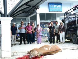 Dihadiri Wabup Misharti, PWI Kampar Sembelih Hewan Qurban