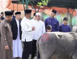 Bupati Kampar Sambangi Posko Penyembelihan Hewan Kurban di Beberapa Lokasi