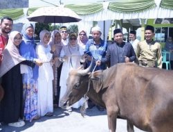 Peduli Pelaksanaan Idul Adha, Wabup Misharti Kunjungi Beberapa Lokasi Pemotongan Hewan Kurban