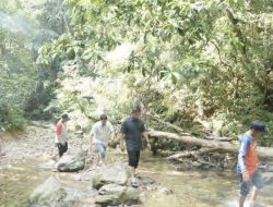 Destinasi Wisata Kampar Masuk Nominasi API, Bupati Ahmad Yuzar Tinjau Infrastruktur Pendukung