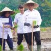 Bupati Kampar Canangkan Gerakan Tanam Padi Sawah, Dorong Swasembada Pangan dan Modernisasi Pertanian