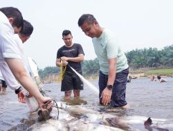 Tradisi Mancokau Ikan Tanjung Belit, Bupati Kampar Tekankan Pentingnya Menjaga Alam