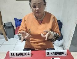 Nyambi Jual Sabu, IRT di Tapung Hulu Diciduk Satresnarkoba Polres Kampar